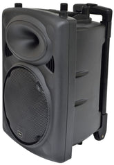 Système de sonorisation portable QTX QR10PA avec tour de cou sans fil VHF